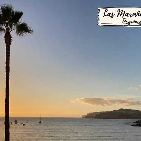 Kaiman 3 By Villagrancanaria *
